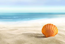 热火队挑落凯尔特人队晋级东部决赛——迈阿密的热血与荣耀