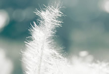 劲敌对阵！谁能笑到最后取得胜利？