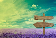 下半场反客为主，取胜利——从追随者到主宰者的逆转攻略